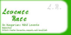 levente mate business card
