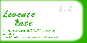 levente mate business card